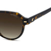 Carrera 3068 Pantos-Style Designer Sunglasses Havana - temple detail