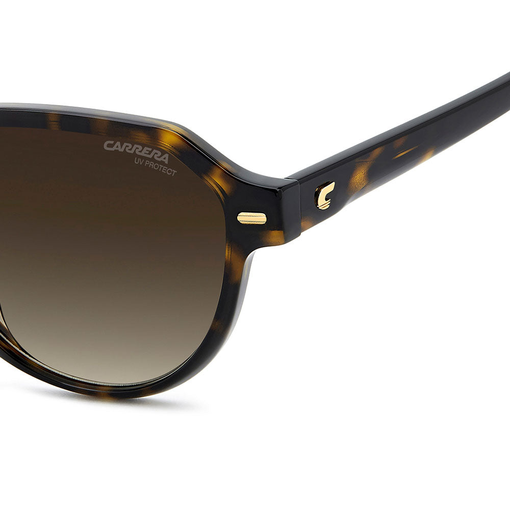Carrera 3068 Pantos-Style Designer Sunglasses Havana - temple detail