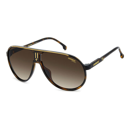 CHAMPION, Brown Havana