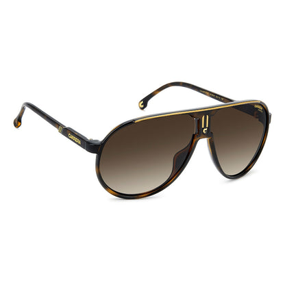 CHAMPION, Brown Havana