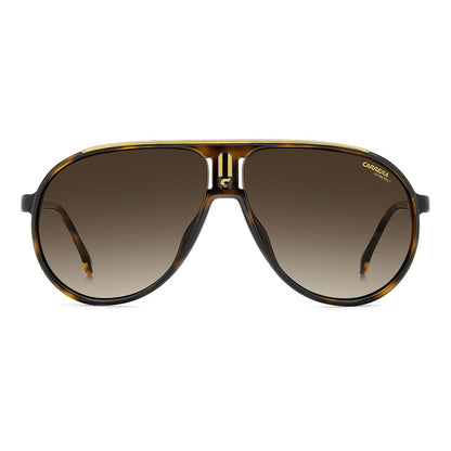 CHAMPION, Brown Havana