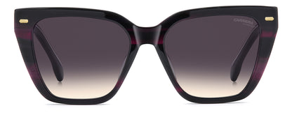 CA 3108/G/S, Violet Horn