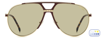 CARRERA 1089/S, Gold Burgundy