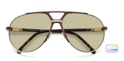 CARRERA 1089/S, Gold Burgundy