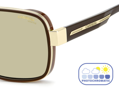 CARRERA 1092/S, Brown