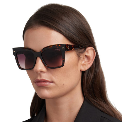 CARRERA 3037/S, Black